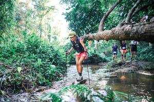 BIB: 
                            <button type="button" onclick="openModal(25436087)" class="btn btn-primary btn-sm float-right btn-popup" data-toggle="modal" data-target=".modal-high-quality">
                        <i class="fas fa-shopping-cart"></i> Add to Cart
                    </button>
                                            <button type="button" onclick="isThisMe(25436087, true)" class="btn btn-success btn-sm float-right btn-popup btn-isme hidden" data-toggle="tooltip" data-placement="bottom" title="นี่คือรูปของคุณใช่ไหม คลิกที่นี่เพื่อเอาเข้าอัลบั้ม">
                        <i class="fas fa-plus"></i> Add to album
                    </button>
                    <button type="button" onclick="isThisMe(25436087, false)" class="btn btn-warning btn-sm float-right btn-popup btn-isnotme hidden">
                        <i class="fas fa-ban"></i> Remove from album
                    </button>